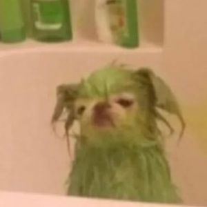 Meet your Posher, Caitlin